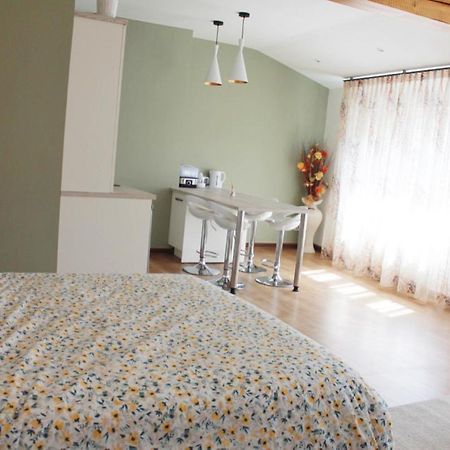 Saint Etienne : Appartement Chateaucreux 40 M2 外观 照片
