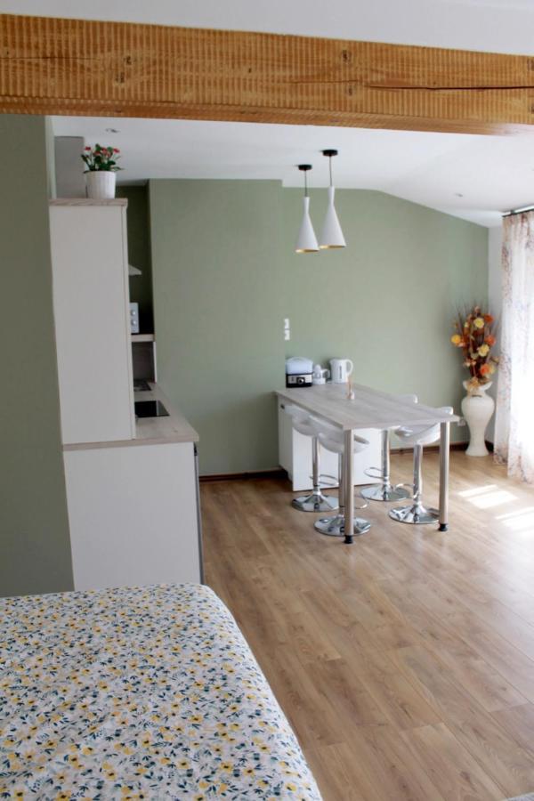 Saint Etienne : Appartement Chateaucreux 40 M2 外观 照片