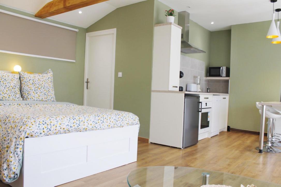 Saint Etienne : Appartement Chateaucreux 40 M2 外观 照片