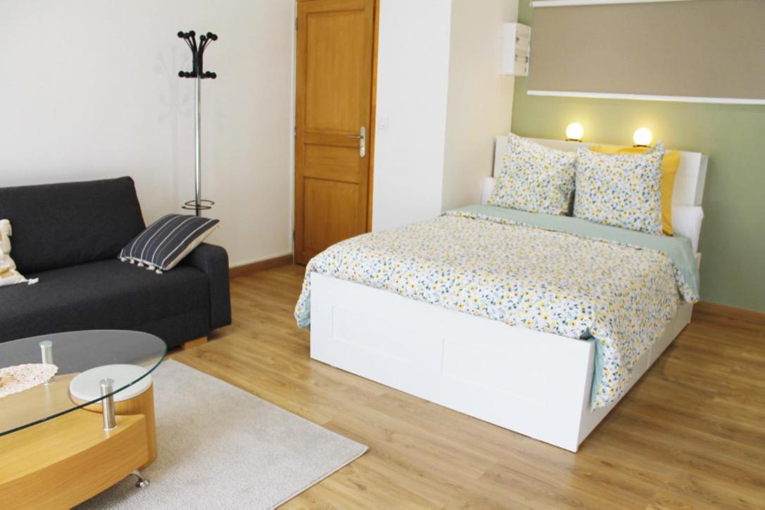 Saint Etienne : Appartement Chateaucreux 40 M2 外观 照片