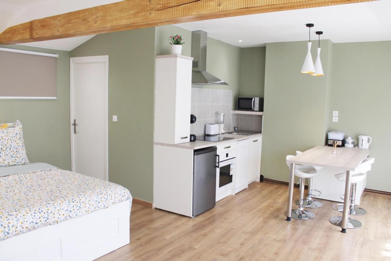 Saint Etienne : Appartement Chateaucreux 40 M2 外观 照片