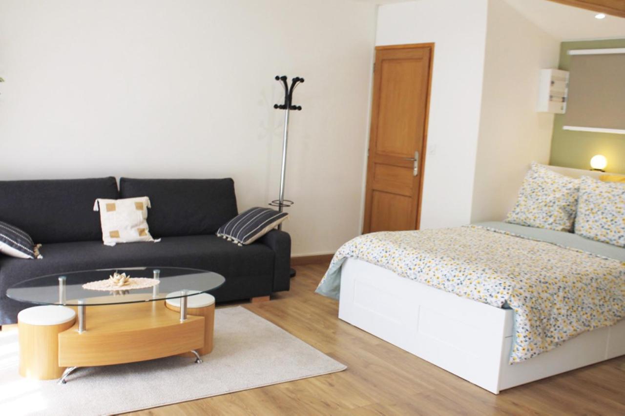 Saint Etienne : Appartement Chateaucreux 40 M2 外观 照片