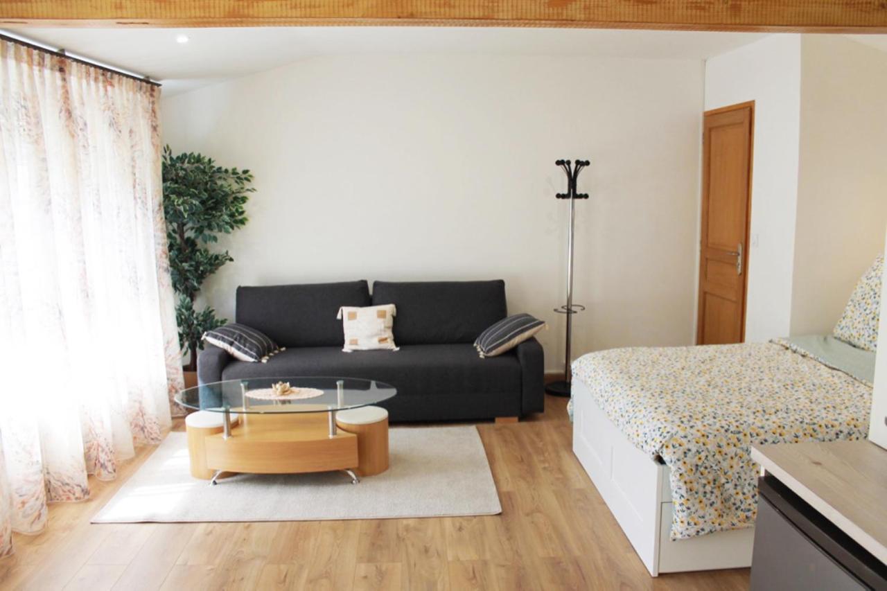 Saint Etienne : Appartement Chateaucreux 40 M2 外观 照片